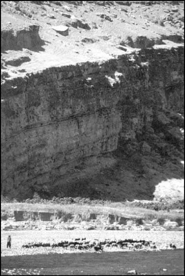 Иллюстрация к книге — Генезис цивилизации. Откуда мы произошли... [i_030.jpg]