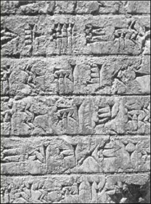 Иллюстрация к книге — Генезис цивилизации. Откуда мы произошли... [i_043.jpg]