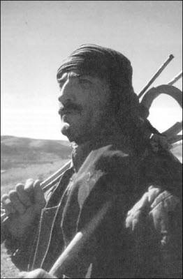 Иллюстрация к книге — Генезис цивилизации. Откуда мы произошли... [i_044.jpg]