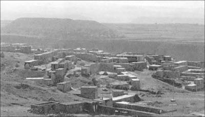 Иллюстрация к книге — Генезис цивилизации. Откуда мы произошли... [i_054.jpg]