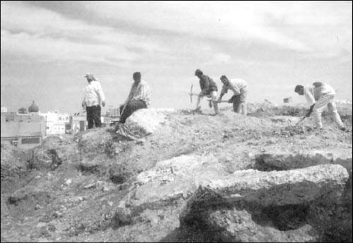 Иллюстрация к книге — Генезис цивилизации. Откуда мы произошли... [i_100.jpg]