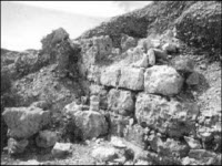 Иллюстрация к книге — Генезис цивилизации. Откуда мы произошли... [i_101.jpg]