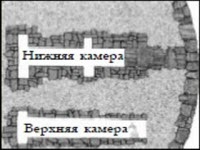 Иллюстрация к книге — Генезис цивилизации. Откуда мы произошли... [i_103.jpg]
