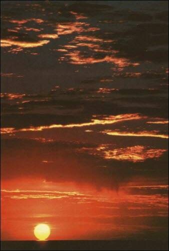 Иллюстрация к книге — Генезис цивилизации. Откуда мы произошли... [i_120.jpg]