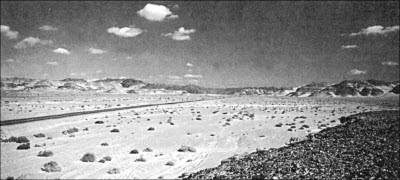 Иллюстрация к книге — Генезис цивилизации. Откуда мы произошли... [i_124.jpg]