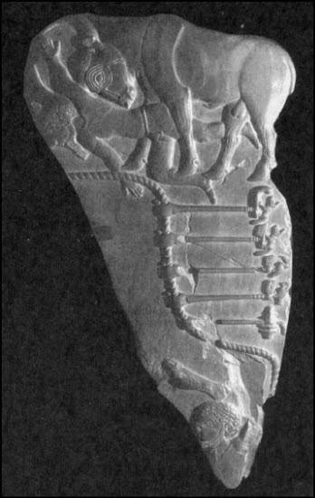 Иллюстрация к книге — Генезис цивилизации. Откуда мы произошли... [i_141.jpg]