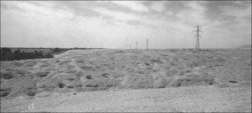 Иллюстрация к книге — Генезис цивилизации. Откуда мы произошли... [i_143.jpg]