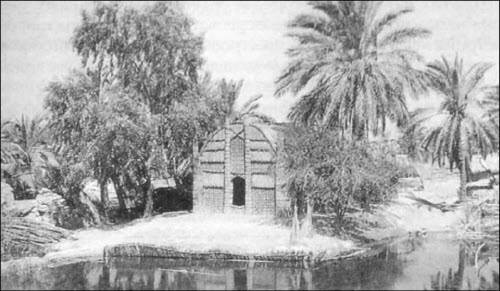 Иллюстрация к книге — Генезис цивилизации. Откуда мы произошли... [i_171.jpg]