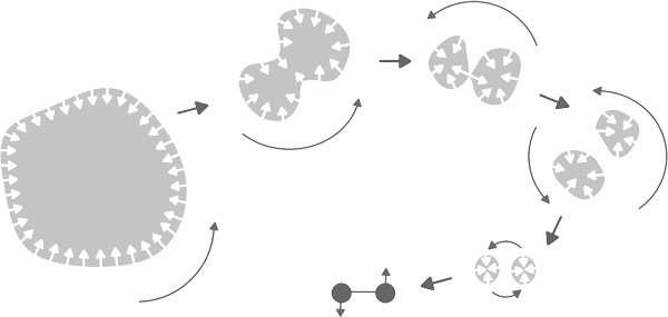 Иллюстрация к книге — Суперобъекты. Звезды размером с город [i_024.jpg]