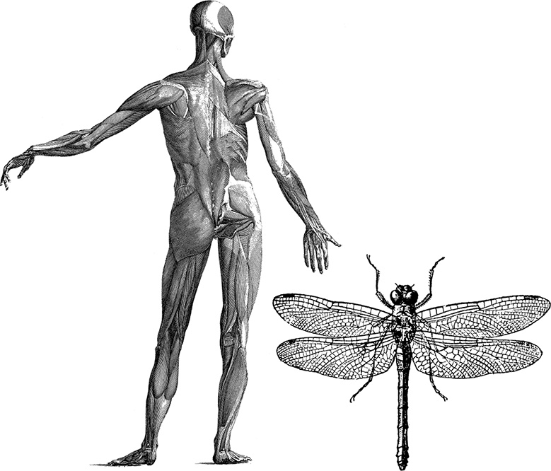 Иллюстрация к книге — Чердак. Только физика, только хардкор [i_023.jpg]