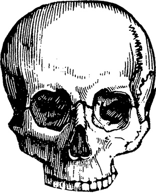 Иллюстрация к книге — Чердак. Только физика, только хардкор [i_026.jpg]