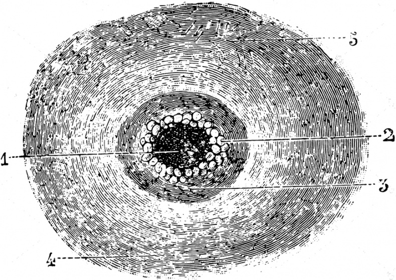 Иллюстрация к книге — Чердак. Только физика, только хардкор [i_029.jpg]