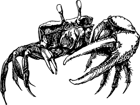 Иллюстрация к книге — Чердак. Только физика, только хардкор [i_030.jpg]