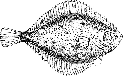 Иллюстрация к книге — Чердак. Только физика, только хардкор [i_031.jpg]