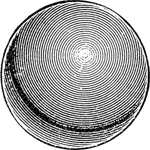 Иллюстрация к книге — Чердак. Только физика, только хардкор [i_099.jpg]