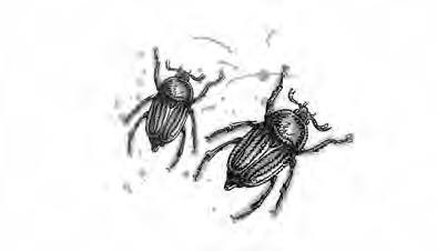 Иллюстрация к книге — Киномеханика [i_034.jpg]