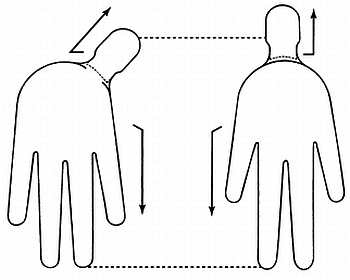 Иллюстрация к книге — Сам себе Су Джок доктор [_03.jpg]