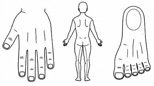 Иллюстрация к книге — Сам себе Су Джок доктор [_08.jpg]