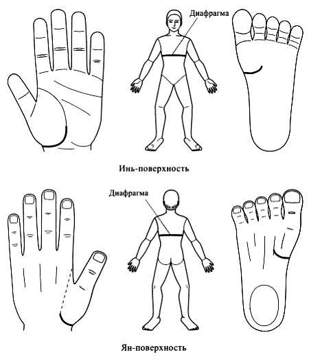 Иллюстрация к книге — Сам себе Су Джок доктор [_12.jpg]