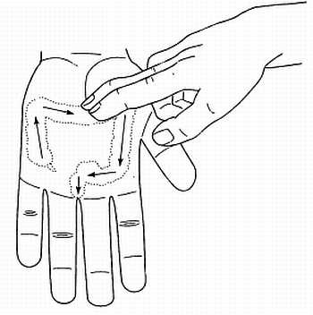 Иллюстрация к книге — Сам себе Су Джок доктор [_122.jpg]