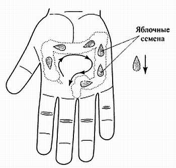 Иллюстрация к книге — Сам себе Су Джок доктор [_123.jpg]