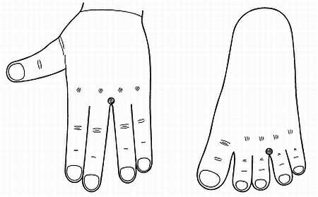 Иллюстрация к книге — Сам себе Су Джок доктор [_126.jpg]