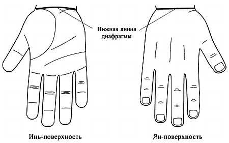 Иллюстрация к книге — Сам себе Су Джок доктор [_13.jpg]