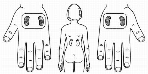 Иллюстрация к книге — Сам себе Су Джок доктор [_133.jpg]