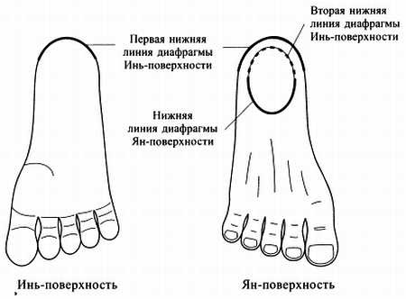 Иллюстрация к книге — Сам себе Су Джок доктор [_14.jpg]