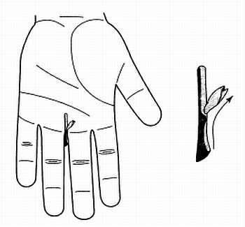 Иллюстрация к книге — Сам себе Су Джок доктор [_140.jpg]