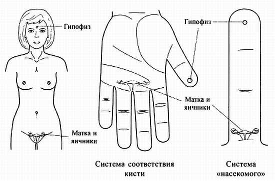 Иллюстрация к книге — Сам себе Су Джок доктор [_141.jpg]