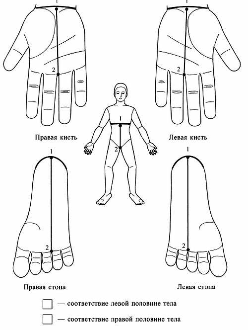 Иллюстрация к книге — Сам себе Су Джок доктор [_18.jpg]