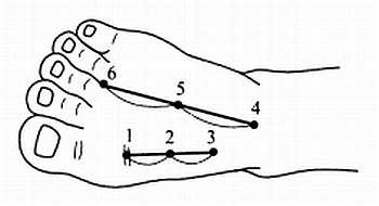 Иллюстрация к книге — Сам себе Су Джок доктор [_54.jpg]