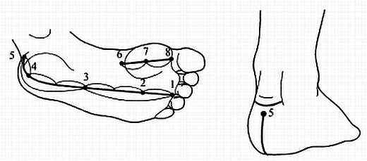 Иллюстрация к книге — Сам себе Су Джок доктор [_55.jpg]