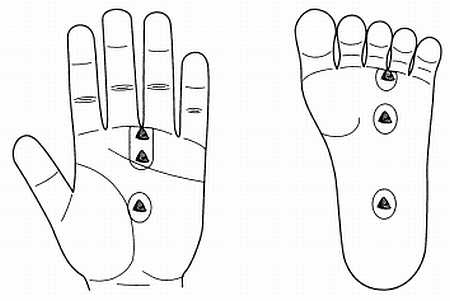 Иллюстрация к книге — Сам себе Су Джок доктор [_57.jpg]