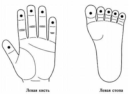 Иллюстрация к книге — Сам себе Су Джок доктор [_59.jpg]