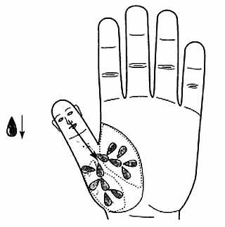 Иллюстрация к книге — Сам себе Су Джок доктор [_81.jpg]