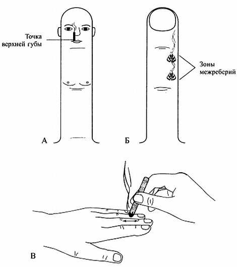 Иллюстрация к книге — Сам себе Су Джок доктор [_86.jpg]