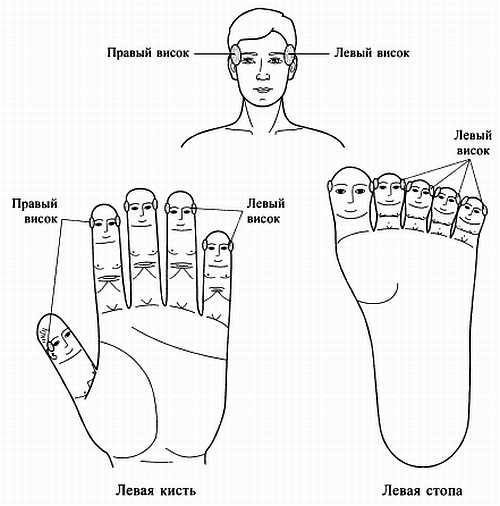 Иллюстрация к книге — Сам себе Су Джок доктор [_88.jpg]