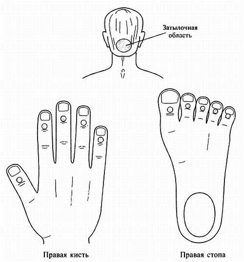Иллюстрация к книге — Сам себе Су Джок доктор [_89.jpg]
