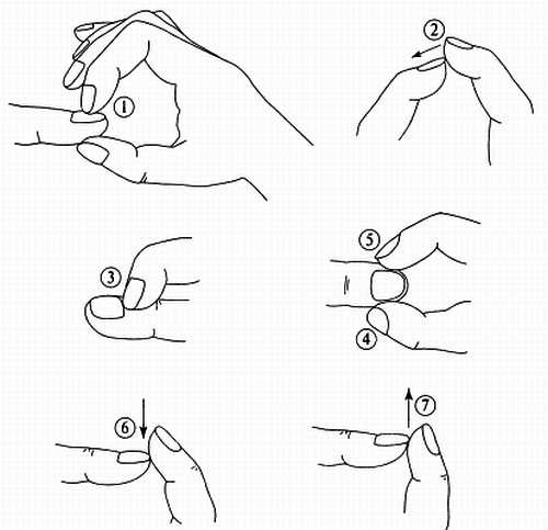 Иллюстрация к книге — Сам себе Су Джок доктор [_91.jpg]