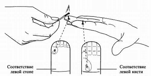 Иллюстрация к книге — Сам себе Су Джок доктор [_98.jpg]
