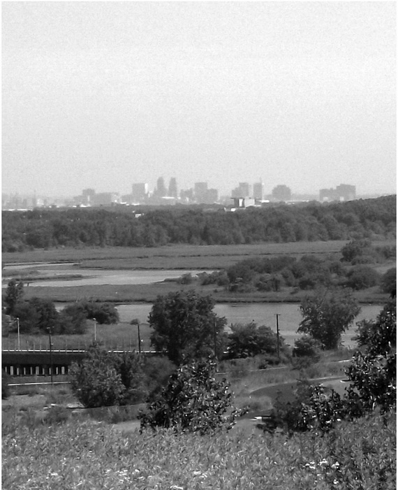 Иллюстрация к книге — Города вам на пользу. Гений мегаполиса [i_061.jpg]