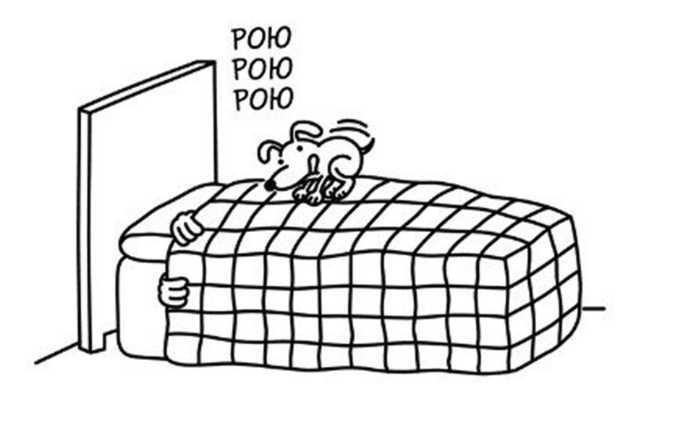 Иллюстрация к книге — Дневник слабака. Собачья жизнь [_186.jpg]