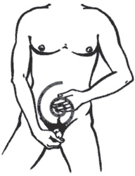 Иллюстрация к книге — Секреты любви. Даосская практика для женщин и мужчин [i_011.jpg]