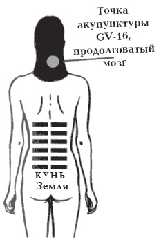 Иллюстрация к книге — Секреты любви. Даосская практика для женщин и мужчин [i_025.jpg]