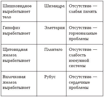 Иллюстрация к книге — Секреты любви. Даосская практика для женщин и мужчин [i_064.jpg]