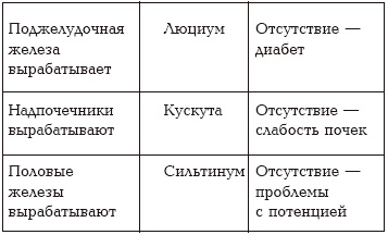 Иллюстрация к книге — Секреты любви. Даосская практика для женщин и мужчин [i_065.jpg]