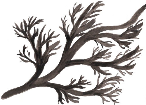 Иллюстрация к книге — Рисуйте свободно! Найти себя с помощью художественного дневника [i_018.jpg]