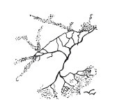 Иллюстрация к книге — Психология творчества, креативности, одаренности [autogen_ebook_id51.jpg]